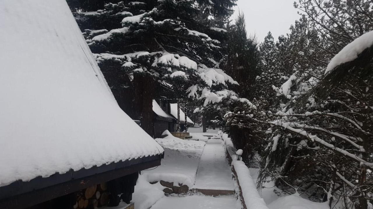 Stronie Śląskie Oliwne Wzgorza 빌라 외부 사진